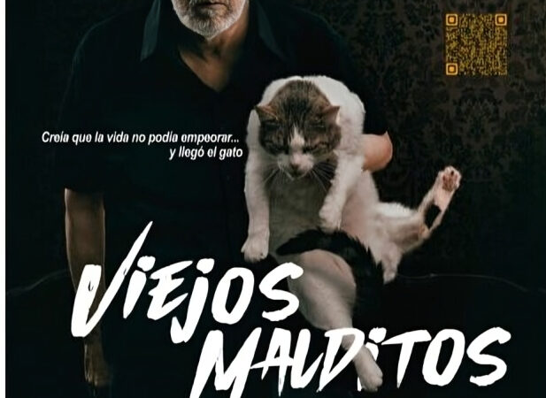 Viejos Malditos: El Gato que Sanó a un Anciano Solitario